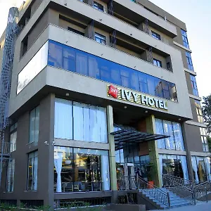 Hotel Ivy Airport Branch